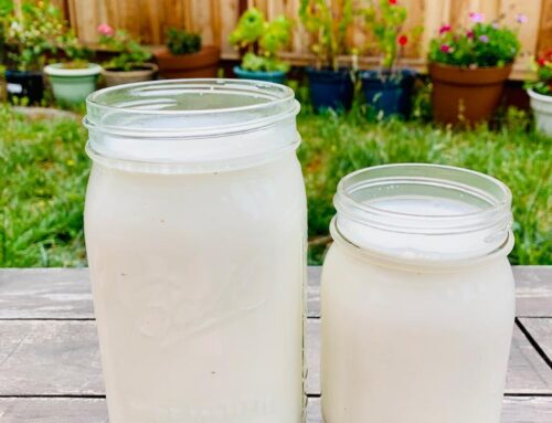 Plant Based Milk – Your Dairy Alternative