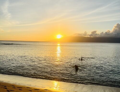 Embrace the Radiant Healing Power of Sunshine: Unveiling the Marvels of Vitamin D!