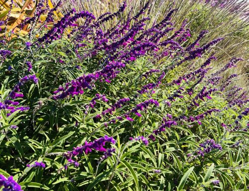 How To Find Balance And Reduce Stress In Your Life