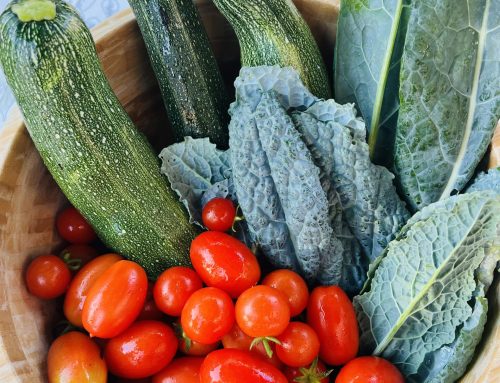 Organic vs. Conventional Produce: Nurturing Your Health from the Ground Up