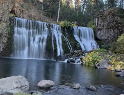 The Magic of Living Water: Nourishment For The Body and Soul