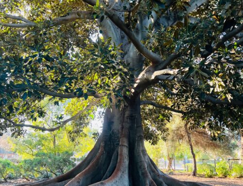 Your Year Of Transformation Begins Now!